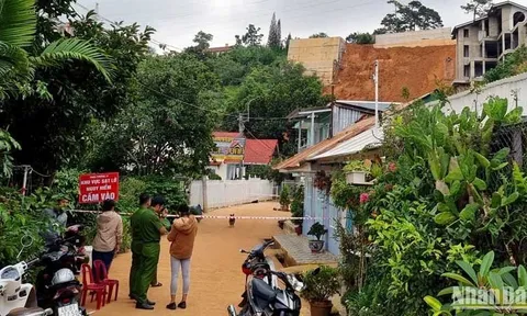 Khởi tố vụ án để điều tra làm rõ vụ sạt lở nghiêm trọng tại Đà Lạt