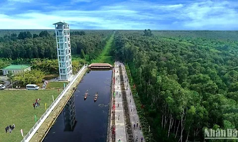 Đầu tư phát triển du lịch bền vững tại Vườn quốc gia U Minh Hạ