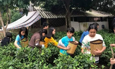 Hỗ trợ các địa phương phát triển sản phẩm du lịch nông nghiệp, nông thôn