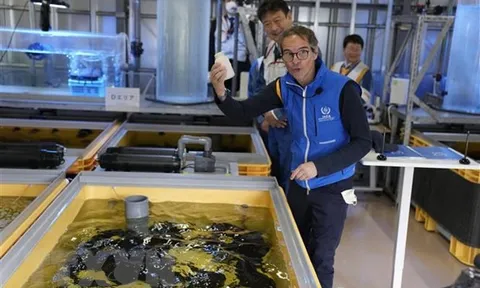 Xả nước thải Fukushima tác động "không đáng kể" tới Hàn Quốc