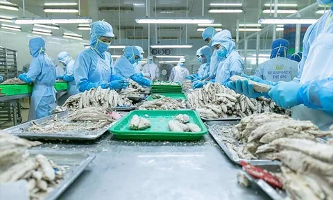 Xuất khẩu cá ngừ đóng hộp sang EU tăng 71%