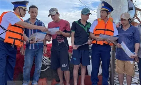 Việt Nam làm việc với Ủy ban châu Âu về vấn đề khai thác IUU