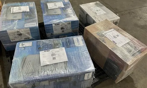 Chủ động phòng ngừa, ngăn chặn hoạt động vận chuyển hàng cấm qua đường hàng không