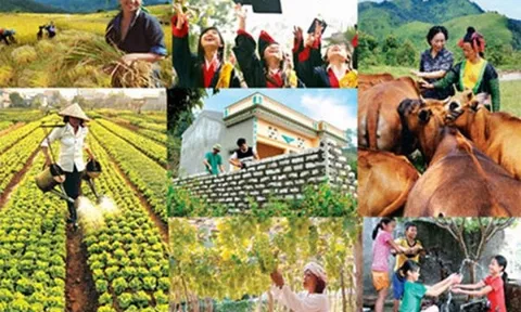 Kiểm tra, giám sát thực hiện các chương trình mục tiêu quốc gia tại 3 Vùng