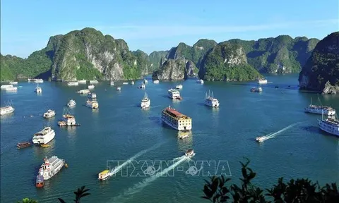 Từ 11 - 13/7 diễn ra 'Những ngày Văn hóa Nga' tại Hạ Long