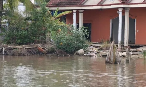 Hội đồng Nhân quyền Liên hợp quốc duyệt nghị quyết do Việt Nam phối hợp đề xuất