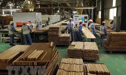 Quan hệ thương mại Việt Nam-Mỹ đang trên đà phát triển mạnh
