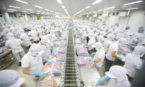 Khai phá tiềm năng, thúc đẩy hợp tác kinh tế thương mại Việt Nam - Áo