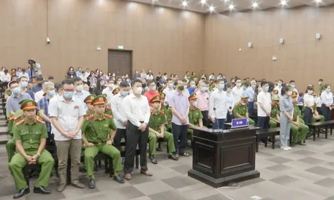 Đại án “chuyến bay giải cứu”: Giới luật sư nói gì về phiên toà xét xử?