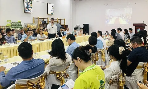 Xúc tiến đưa nông sản Việt lên sàn thương mại điện tử Trung Quốc