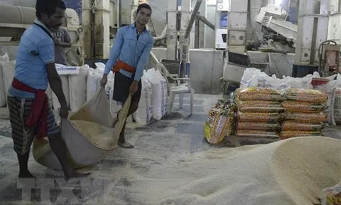 Lo ngại tăng lạm phát, IMF kêu gọi Ấn Độ dỡ bỏ lệnh cấm xuất khẩu gạo
