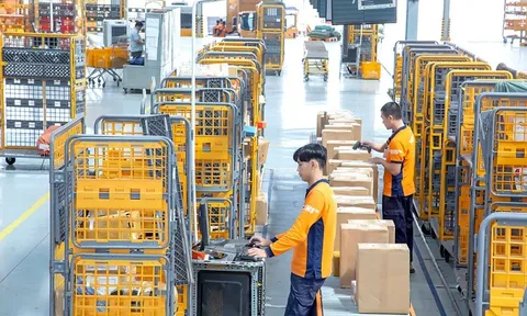 Thương mại điện tử “Xanh hóa” nhờ bao bì thân thiện môi trường