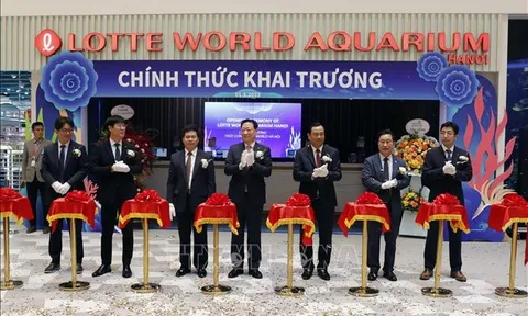 Thủy cung Lotte World Hà Nội chính thức đi vào hoạt động