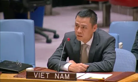 Việt Nam nỗ lực trở thành trung tâm đổi mới sáng tạo về lương thực