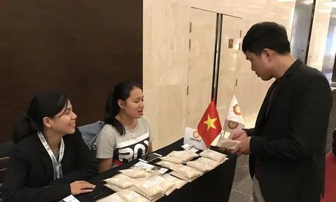 Chuyên gia: Doanh nghiệp xuất khẩu gạo cần tính chuyện đường dài