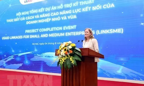 Dự án USAID LinkSME hỗ trợ doanh nghiệp nhỏ và vừa của Việt Nam
