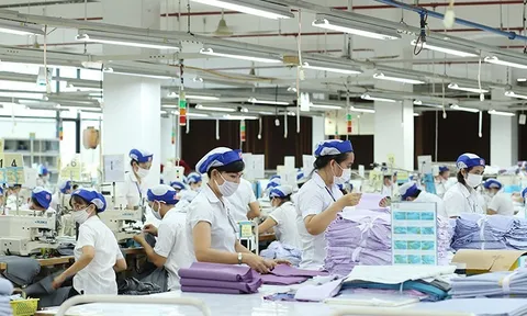 Phục hồi tăng trưởng ngành dệt may