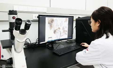 Tăng giá trị cho dược liệu của Việt Nam