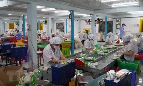 Doanh nghiệp chế biến sản phẩm từ gạo gặp khó vì giá gạo tăng nhanh