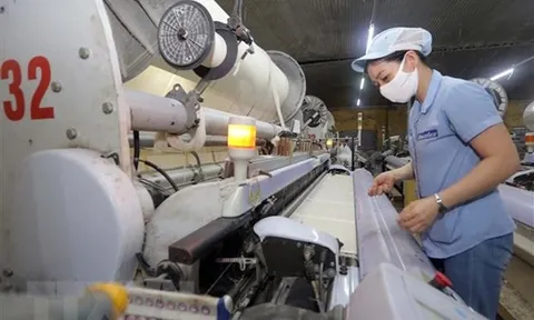 Doanh nghiệp Việt Nam tận dụng các FTA nâng cao vị thế thương hiệu