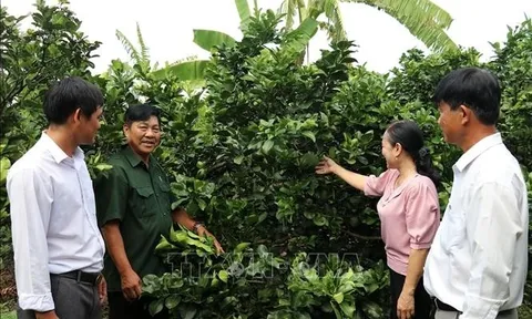 Kiến nghị bổ sung chế độ đối với người có công đã phục viên, xuất ngũ gặp khó khăn