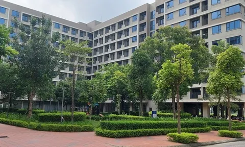 Phát triển nhà ở xã hội tại tỉnh Bắc Ninh: Không để khó khăn, vướng mắc ảnh hưởng đến hiệu quả các dự án
