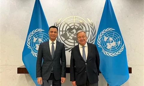 Bản sắc 'Ngoại giao Cây tre': Phát huy 'sức mạnh mềm' quốc gia