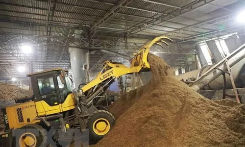 Việt Nam còn nhiều dư địa tăng trưởng xuất khẩu viên nén gỗ