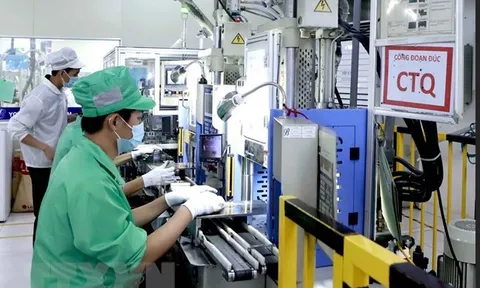 Việt Nam là điểm đến kinh doanh quan trọng của công ty Hàn Quốc