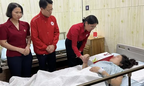 Trung ương Hội Chữ thập đỏ Việt Nam hỗ trợ khẩn cấp nạn nhân trong vụ cháy chung cư mini