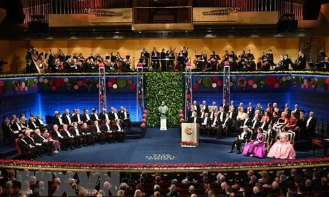 Giá trị Giải thưởng Nobel năm 2023 tăng lên gần mức 1 triệu USD