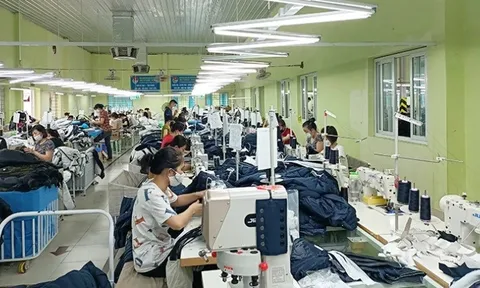 Doanh nghiệp dệt may thích ứng biến động thị trường