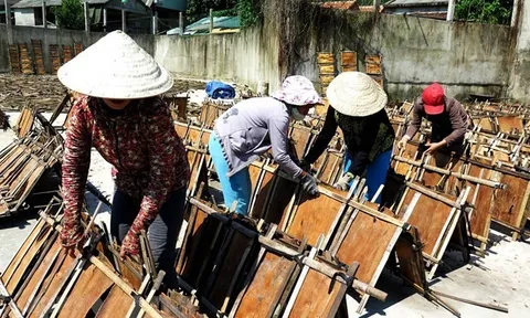 Xúc tiến, mở rộng thị trường xuất khẩu cho dược liệu Việt Nam