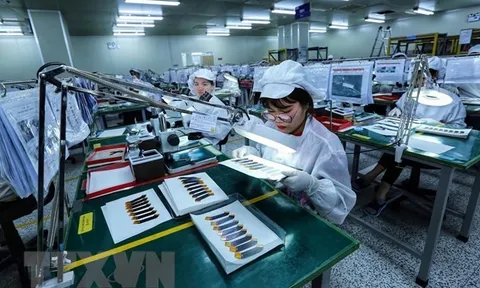 Niềm tin kinh doanh của doanh nghiệp châu Âu tại Việt Nam tăng trở lại