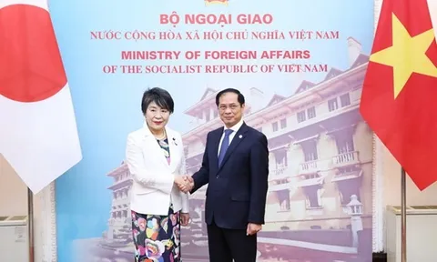 Thúc đẩy làm sâu sắc quan hệ Đối tác Chiến lược sâu rộng Việt-Nhật