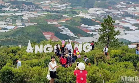 Trượt ngã tại khu du lịch ở Lâm Đồng, nữ du khách nước ngoài tử vong