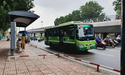 TP Hồ Chí Minh cập nhật hoạt động tuyến xe buýt số 5, 16