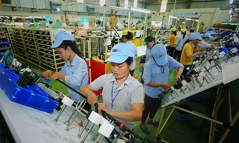 EVFTA tạo “cú huých” hút dòng vốn FDI từ Hà Lan vào Việt Nam