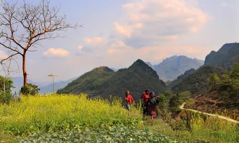 Bí kíp đi du lịch Tà Xùa từ A-Z không thể bỏ qua