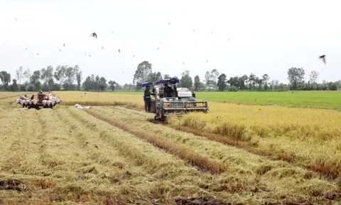 Khai mạc Triển lãm Con đường Lúa gạo Việt Nam ở Hậu Giang