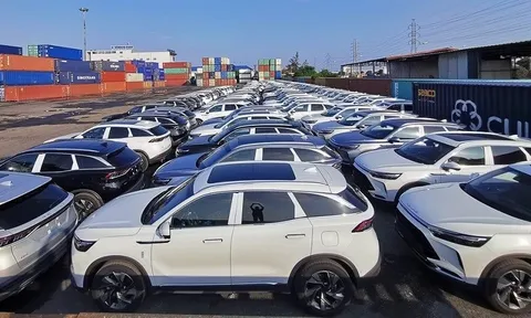 Số lượng ô tô nhập khẩu 11 tháng giảm 26,6%