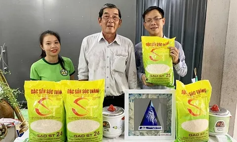 Thêm 2 loại gạo được hưởng ưu đãi thuế quan khi xuất khẩu vào EU: Gia tăng cơ hội tận dụng EVFTA