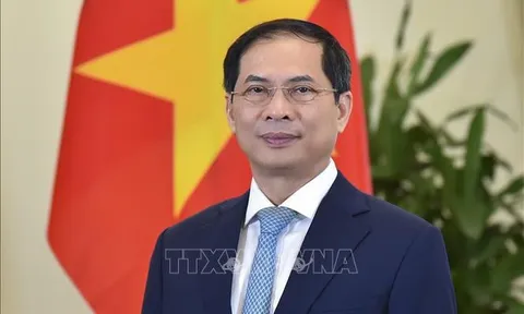Bộ trưởng ngoại giao Bùi Thanh Sơn trả lời phỏng vấn trước thềm Hội nghị Ngoại giao lần thứ 32