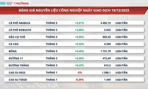 Giá xuất khẩu cà phê Robusta lên cao nhất 28 năm