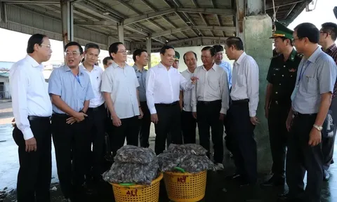 Mở đợt cao điểm chống khai thác bất hợp pháp để tháo gỡ "thẻ vàng" IUU