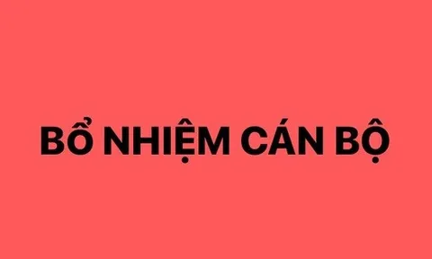 Thủ tướng bổ nhiệm, bổ nhiệm lại lãnh đạo ba cơ quan