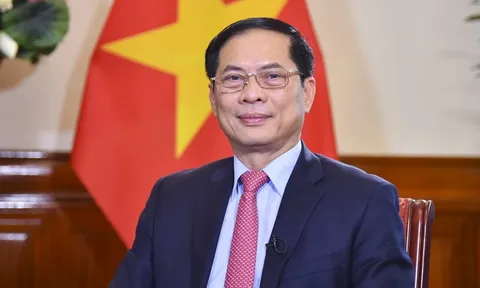 Ngoại giao Việt Nam năm 2023: Điểm sáng nổi bật trong thành tựu của đất nước
