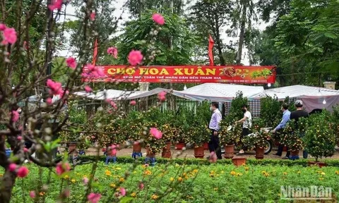 Hội Xuân Giáp Thìn 2024 sẽ diễn ra vào ngày 26/1