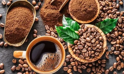 Dự báo xuất khẩu cà phê cả năm 2023 ước đạt 1,606 triệu tấn