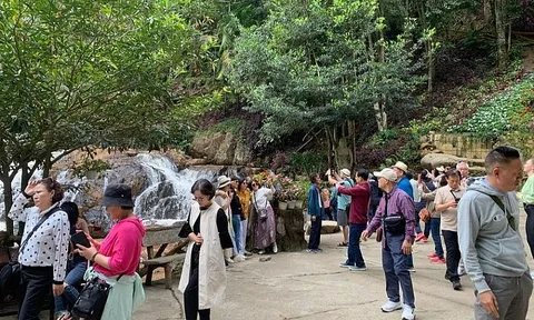 8 hướng dẫn viên du lịch bị xử phạt vì để người Hàn Quốc hướng dẫn đoàn khách